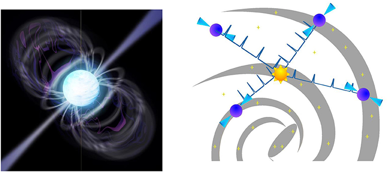 Figure 4 - Pulsars (left) are very special types of neutron stars that spin around as fast as hundreds of times each second.