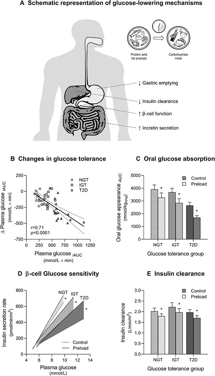 Frontiers | Impact of Nutrient Type and Sequence on Insights and Therapeutic Implications