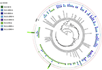 www.frontiersin.org