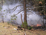 www.frontiersin.org