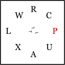 www.frontiersin.org