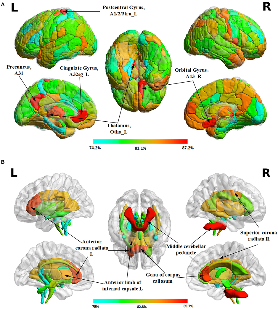 Frontiers Brain Differences Between Men And Women Evidence From Deep Learning