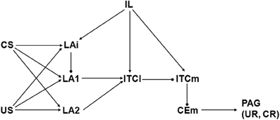 www.frontiersin.org