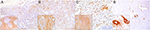 www.frontiersin.org