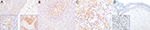 www.frontiersin.org