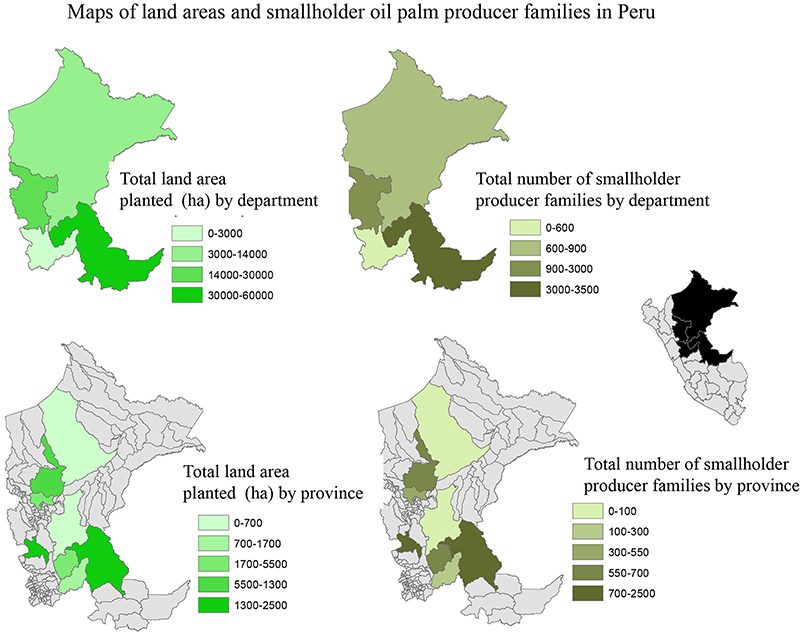 Palm oil boom: companies must clean up their act in Africa