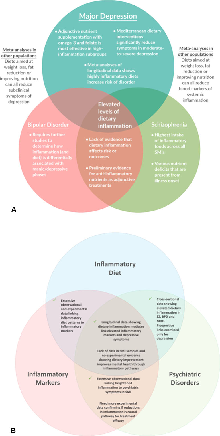 diet and mental health studies