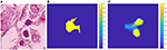 www.frontiersin.org