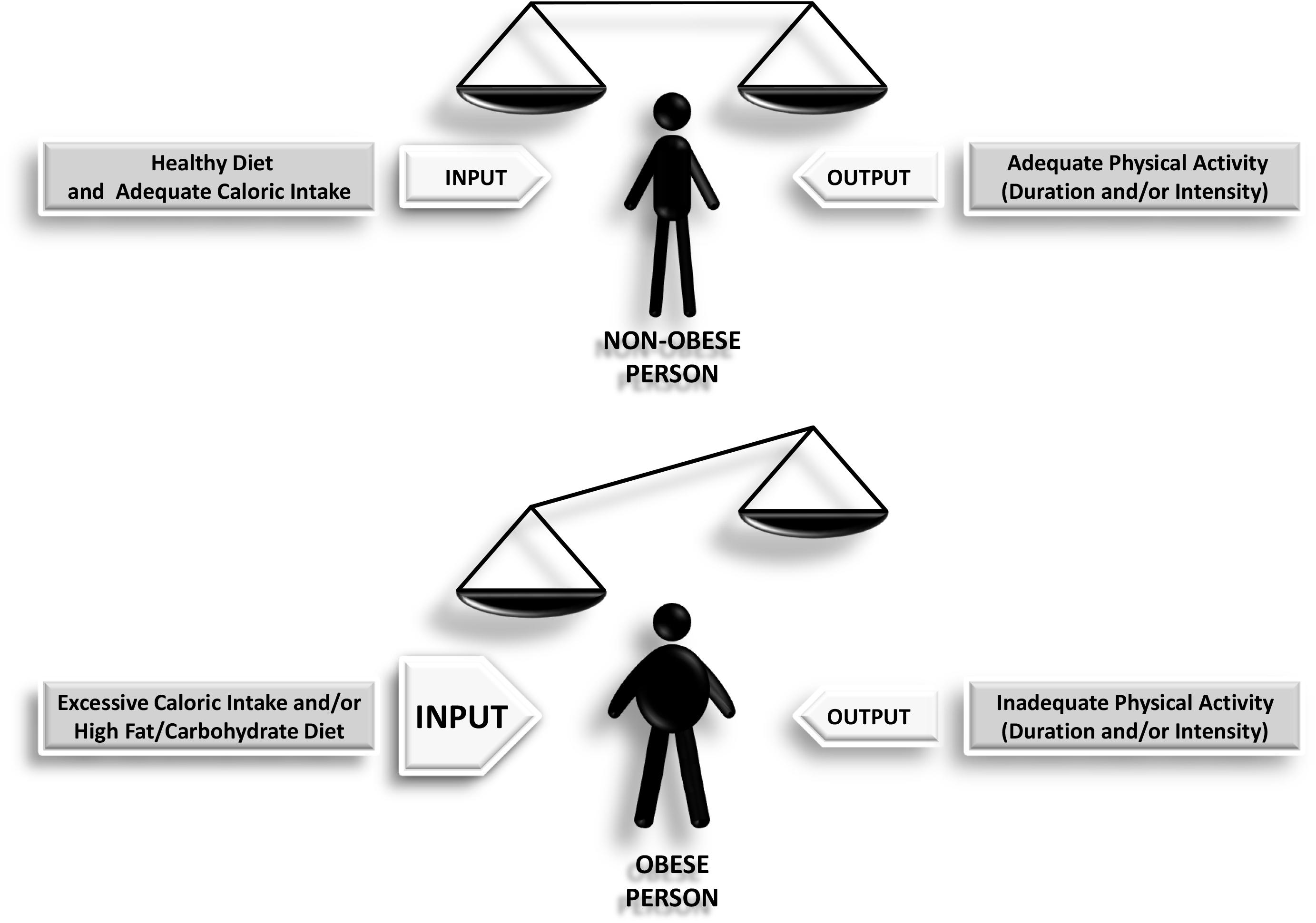 diabetes obesity and metabolism journal impact factor