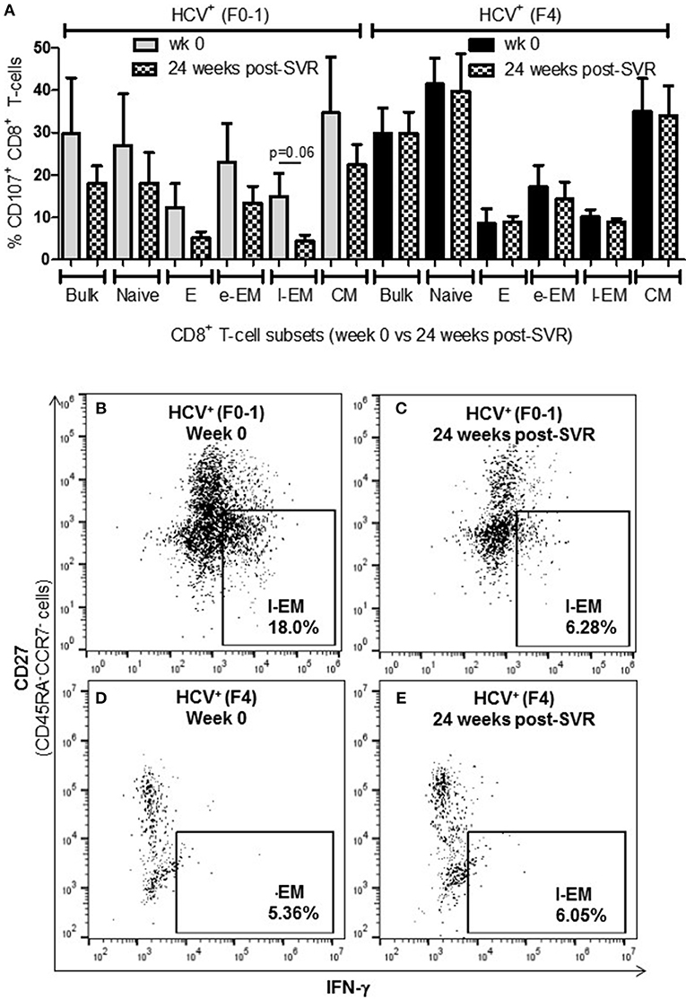 Frontiers Direct Acting Antiviral Treatment Of Hcv Infection Does Not Resolve The Dysfunction Of Circulating Cd8 T Cells In Advanced Liver Disease Immunology