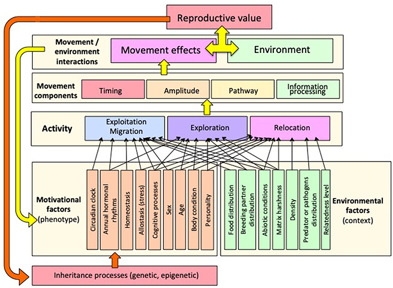 Frontiers | Behavior in a Changing Landscape: Using Movement Ecology to