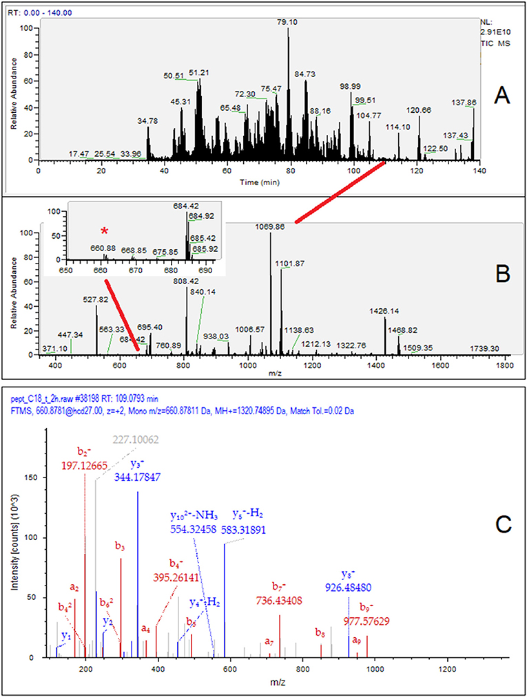 Frontiers Excretion Of Dietary Cow S Milk Derived Peptides