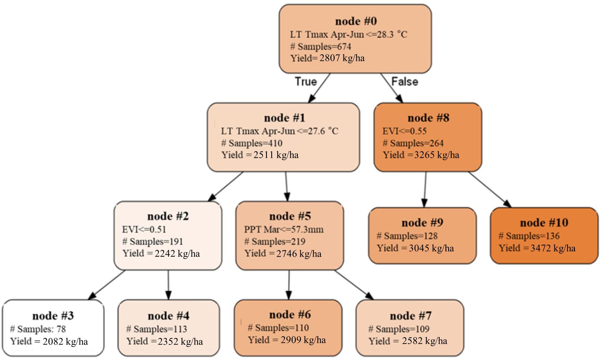 Almond Processing Flow Chart