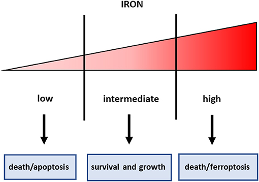 www.frontiersin.org