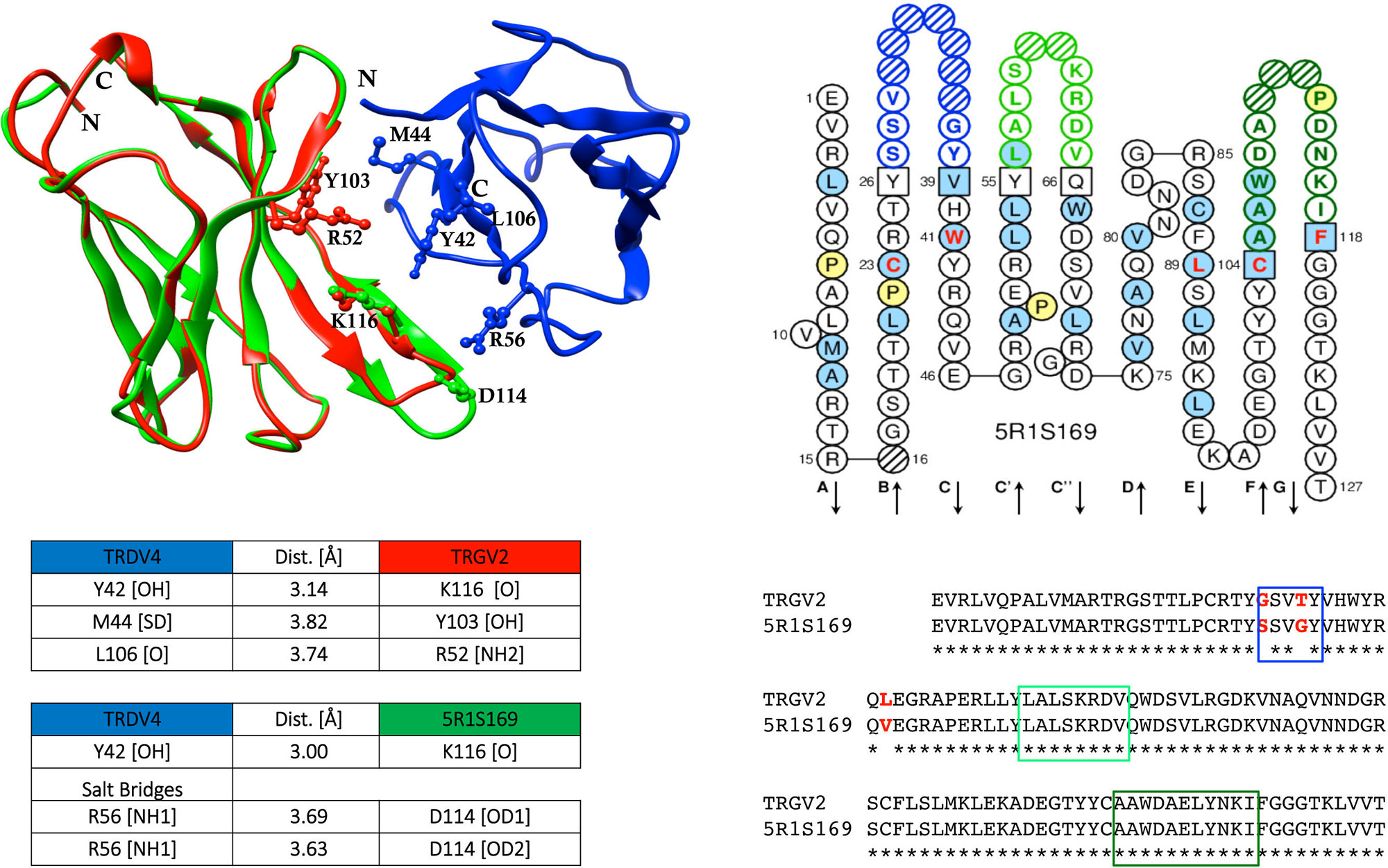 adaptive immune repertoire sequencing data repositiry adaptive immune repertoire sequencing data repositiry