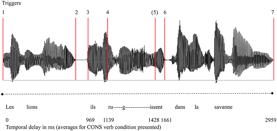 Frontiers Eliciting Erp Components For Morphosyntactic Agreement