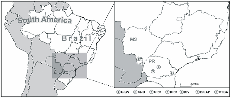 www.frontiersin.org