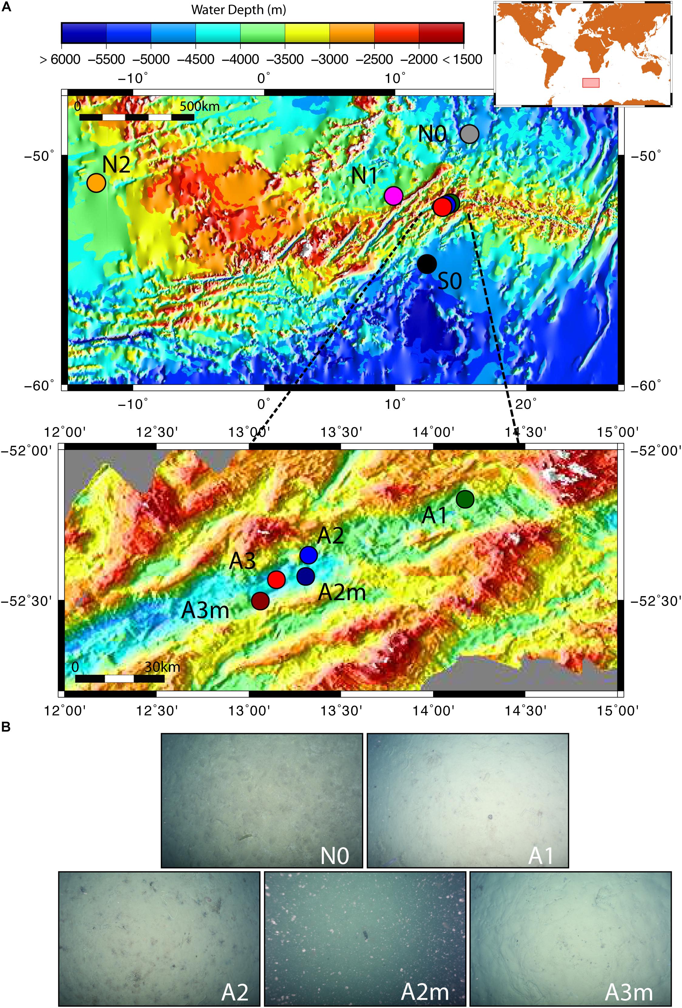 Frontiers Microbial Diversity And Connectivity In Deep Sea