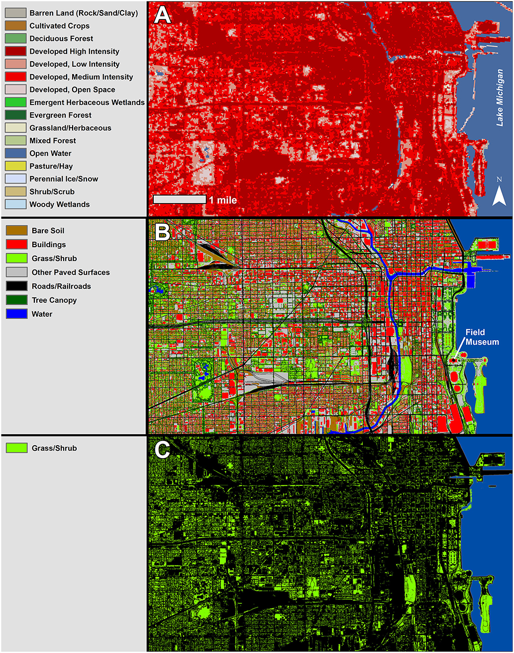 argument pisk mandskab Frontiers | Does Nature Need Cities? Pollinators Reveal a Role for Cities  in Wildlife Conservation | Ecology and Evolution