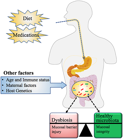 d-vitamin dysbiosis