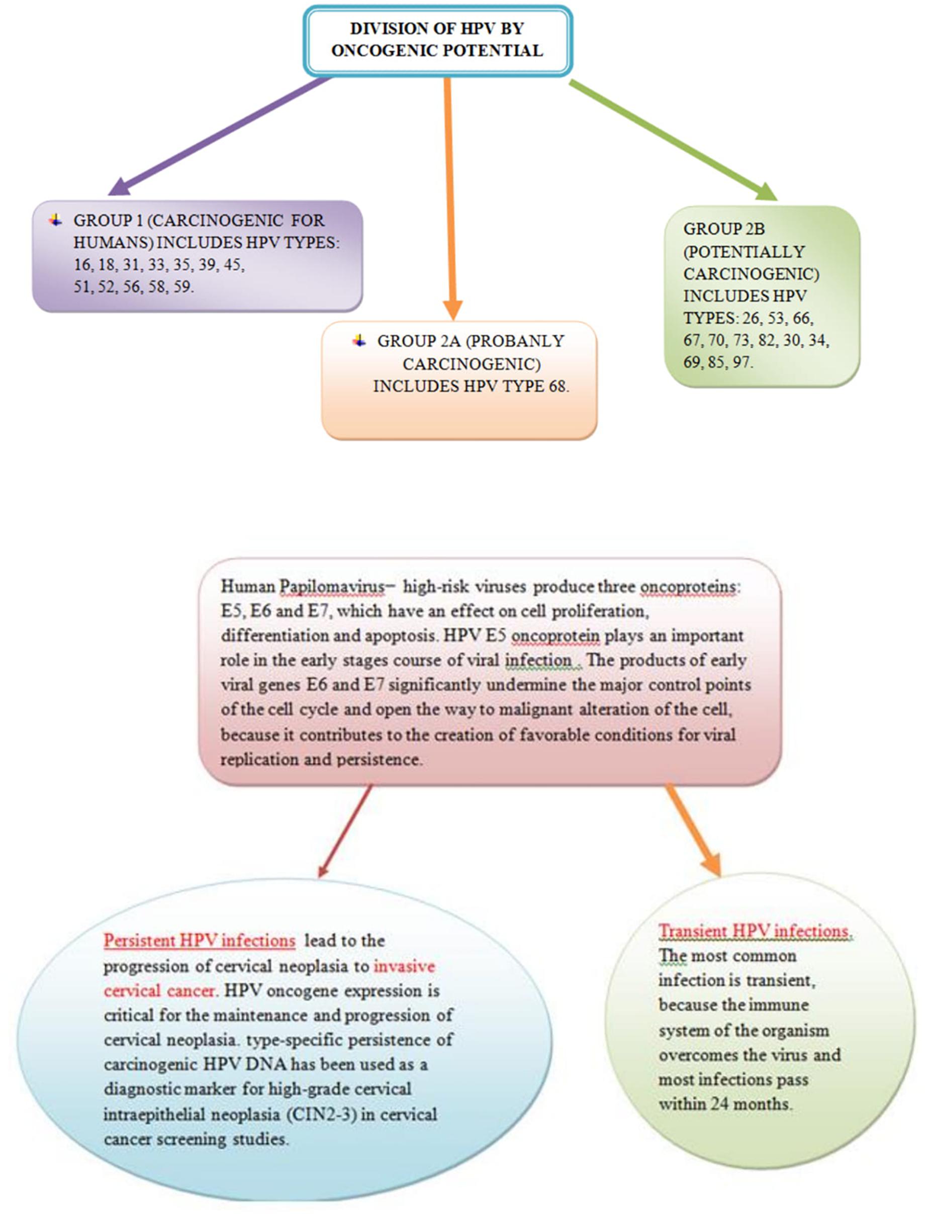 A középgarattumorok 40 százalékát a HPV okozza