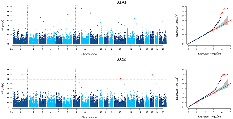 Frontiers  A Genome-Wide Association Study Identifies Candidate