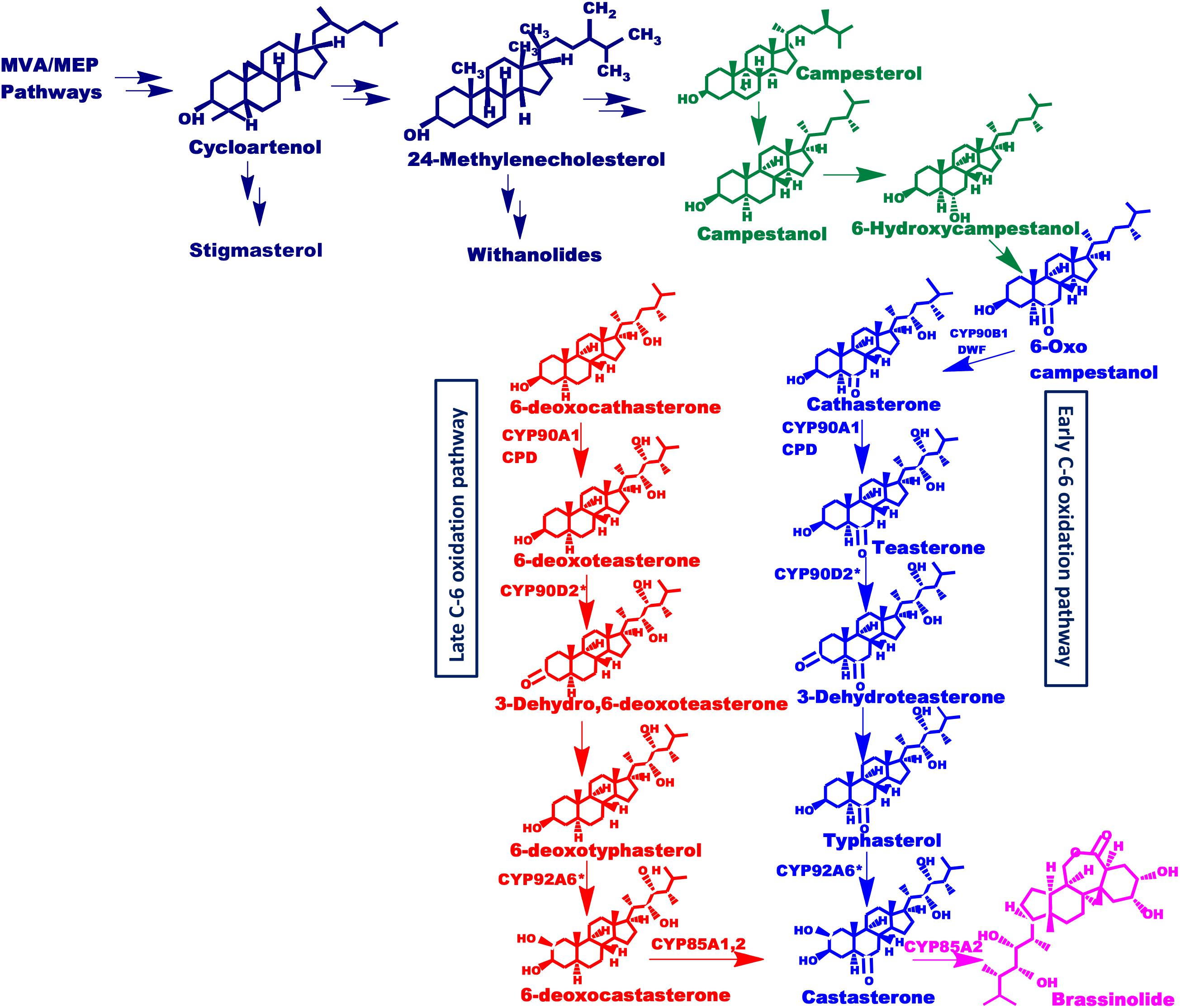 EP2105454A1 - Thioether functionalised organopolysiloxanes