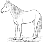 www.frontiersin.org