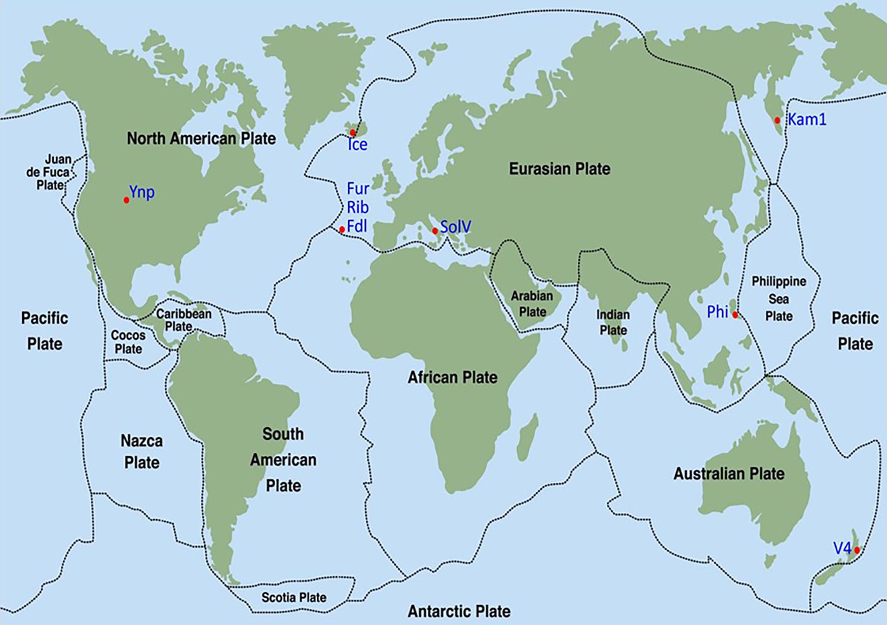 www.frontiersin.org