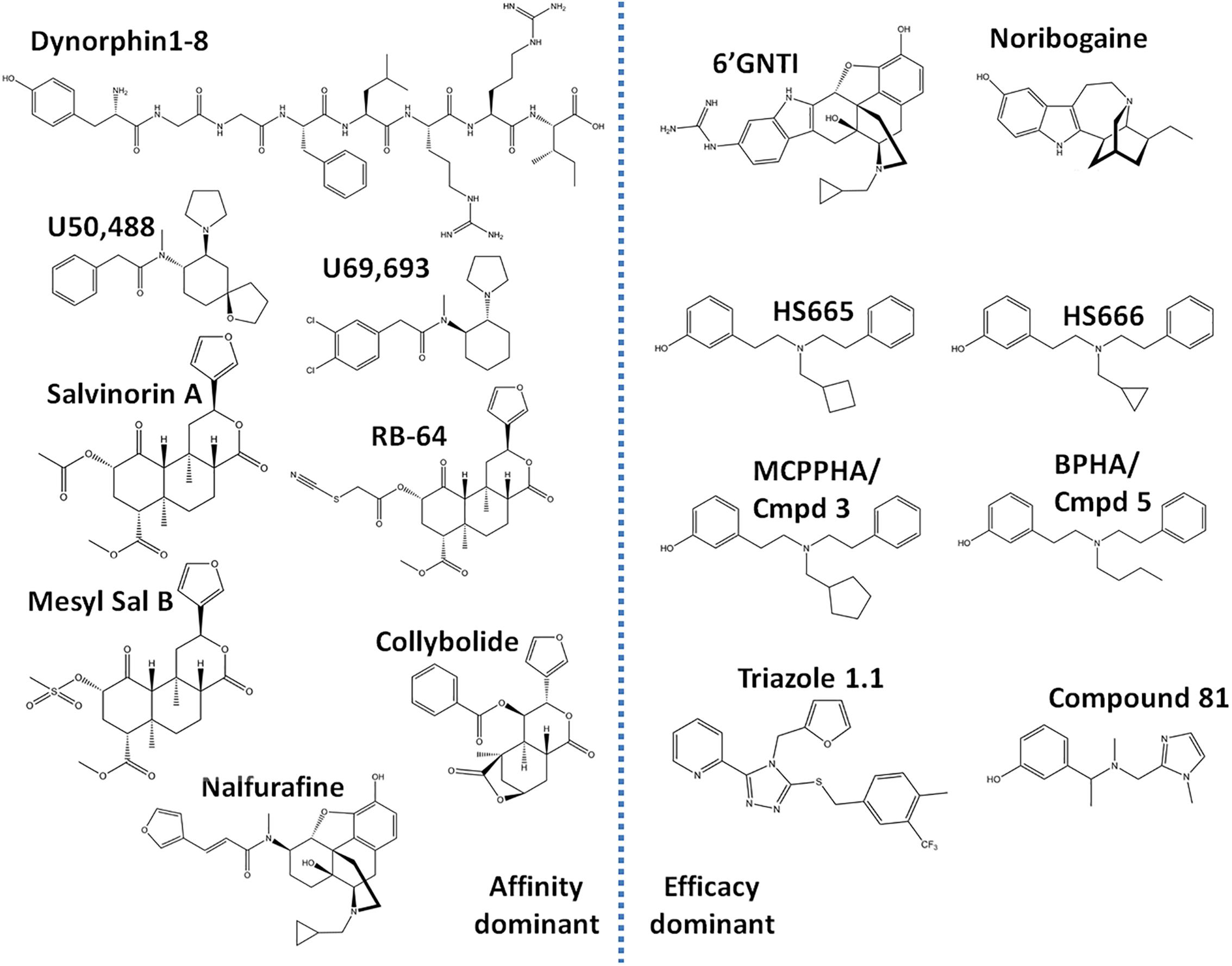 rust Onbekwaamheid Geniet Frontiers | A Review of the Therapeutic Potential of Recently Developed G  Protein-Biased Kappa Agonists