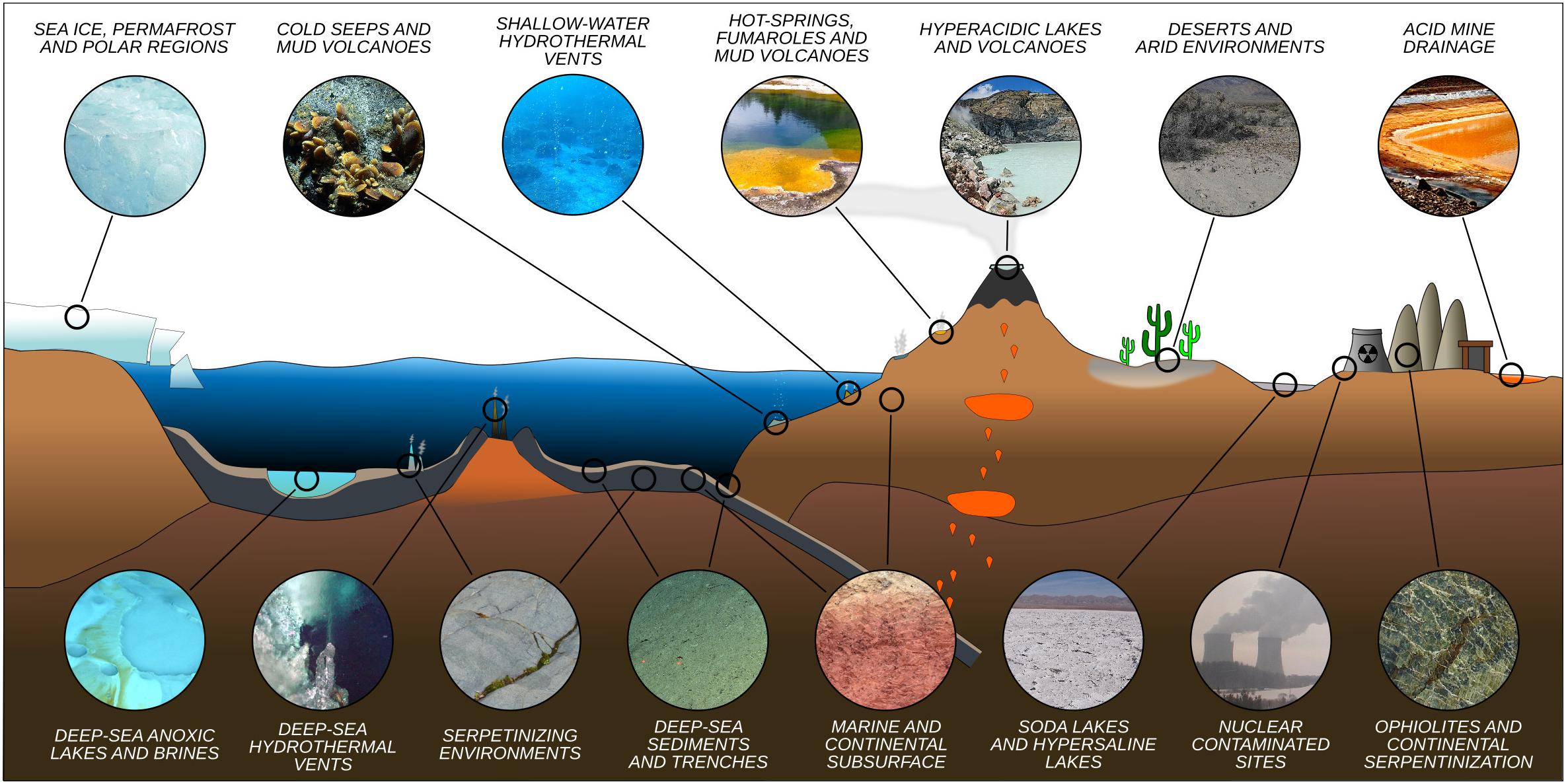 The diversity of extreme environments on Earth.