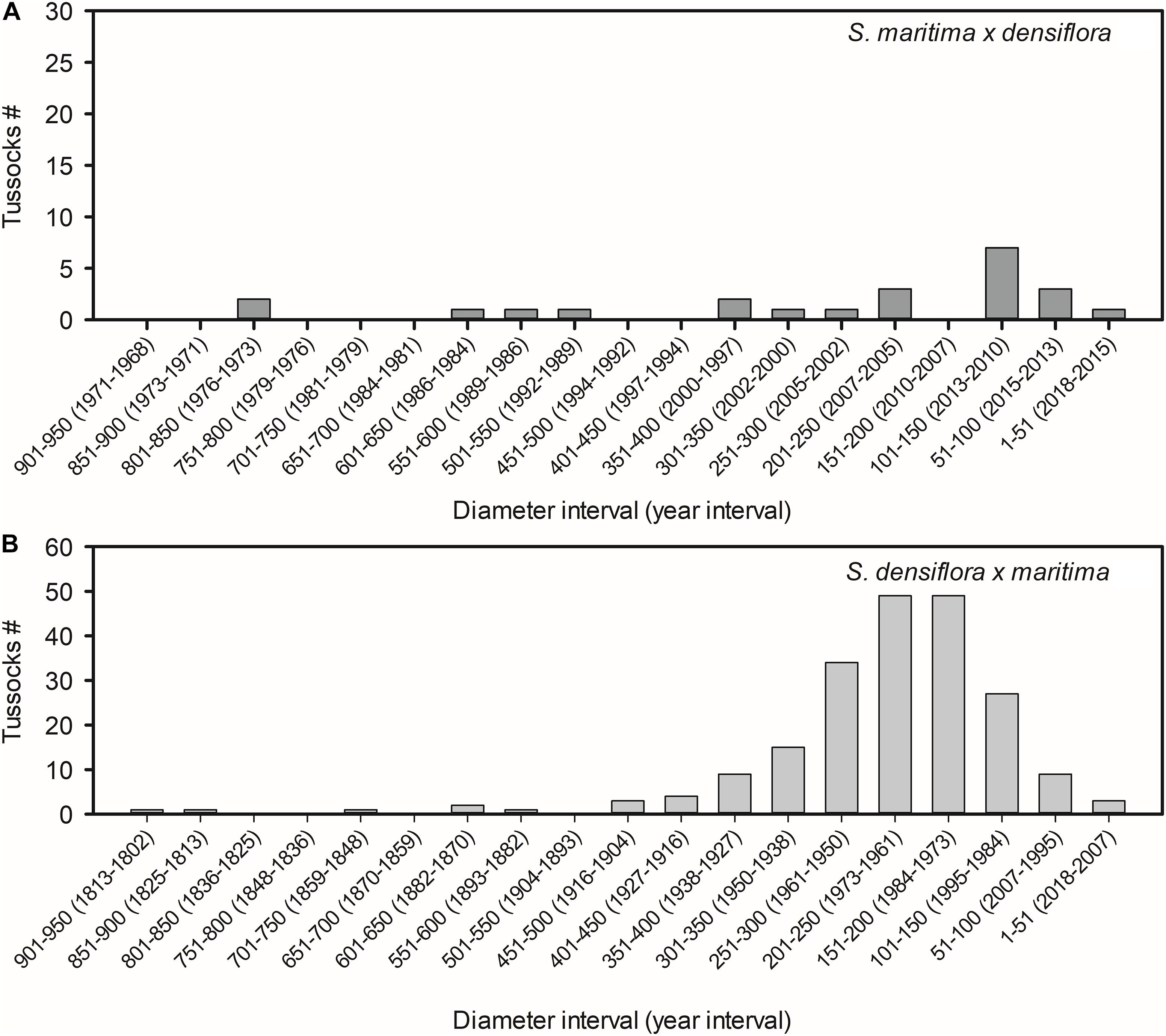 Frontiers | Some Like It Hot: Maternal-Switching With