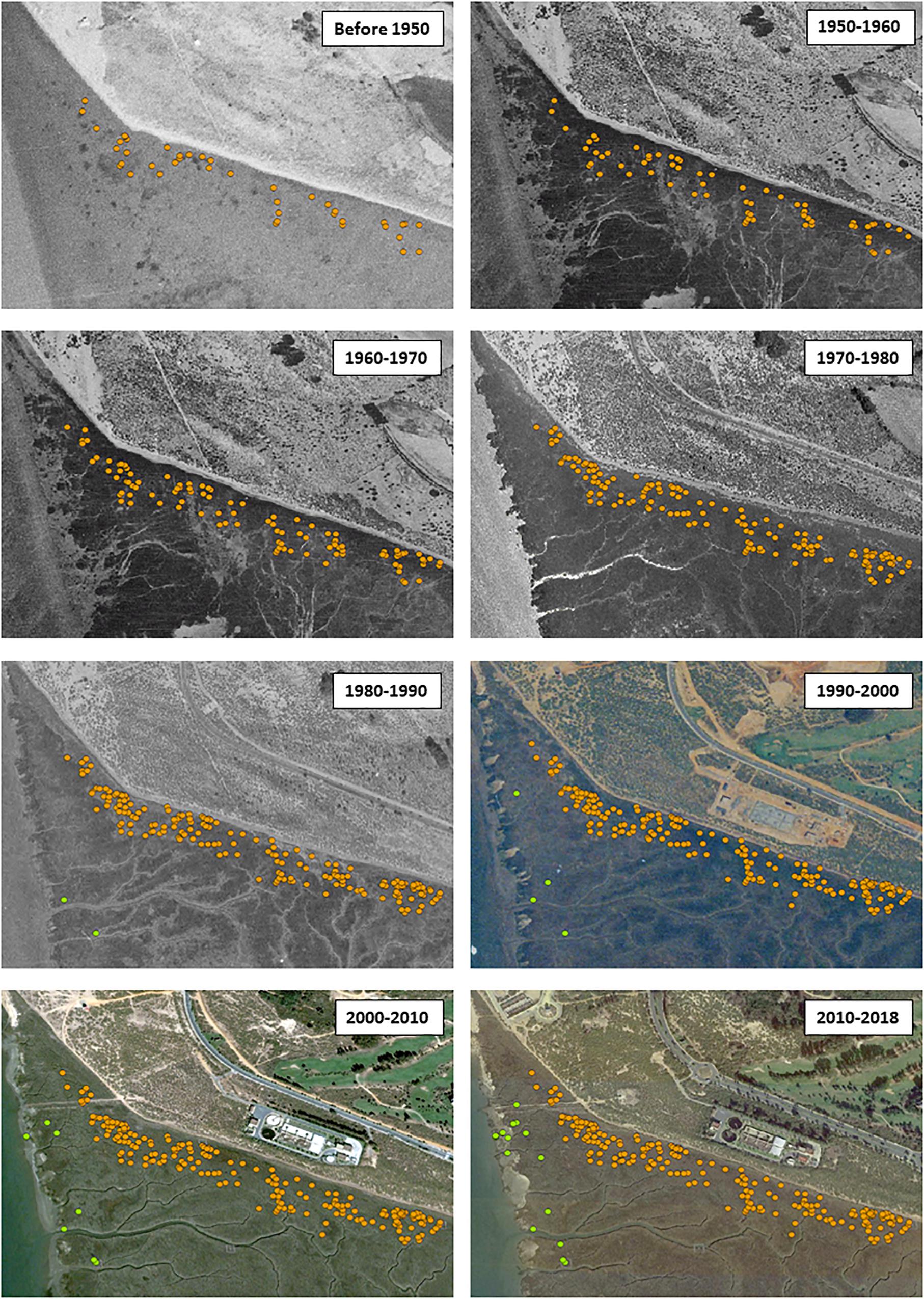 Frontiers | Some Like It Hot: Maternal-Switching With