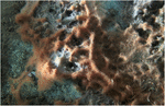 www.frontiersin.org