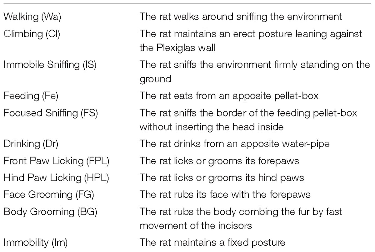 Frontiers | Combining Quantitative and Qualitative Data in the Study of Feeding Behavior in Male Wistar Rats Frontiers | Combining Quantitative and Qualitative Data in the Study of Feeding Behavior in Male Wistar Rats