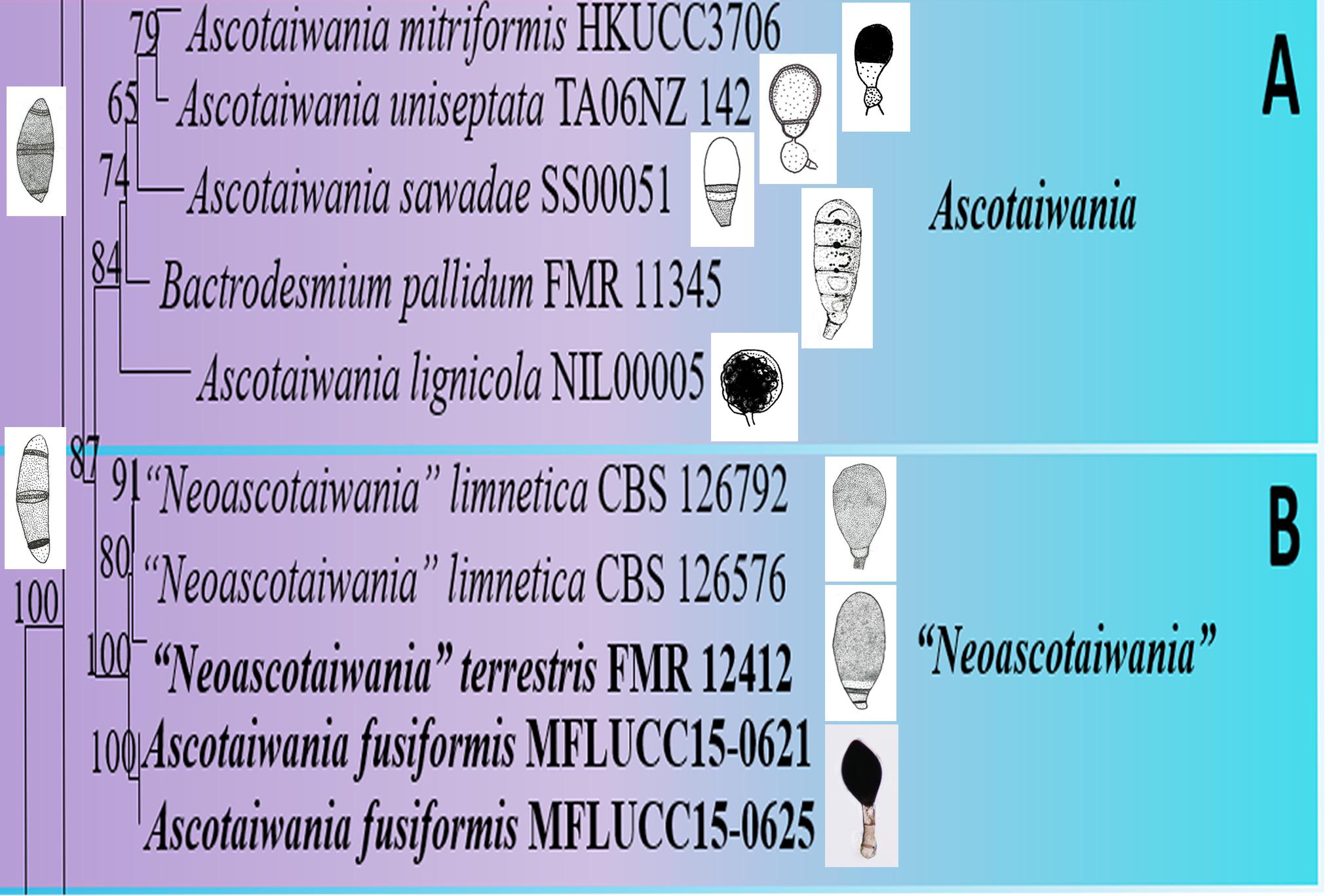 www.frontiersin.org