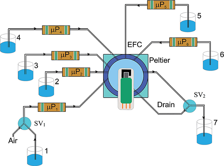 PDF) Boron Doped Diamond Electrodes in Flow-Based Systems