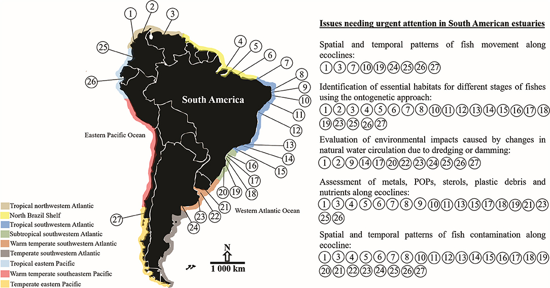 Frontiers Systematic Review Of Fish Ecology And Anthropogenic Impacts In South American Estuaries Setting Priorities For Ecosystem Conservation Marine Science