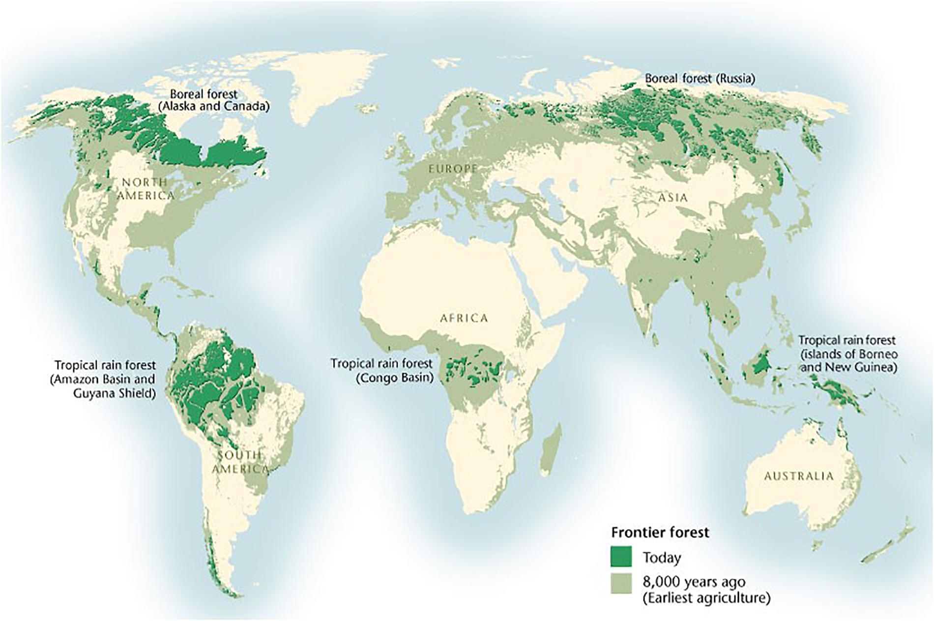 Taiga biome, boreal snow forest. Terrestrial ecosystem world map