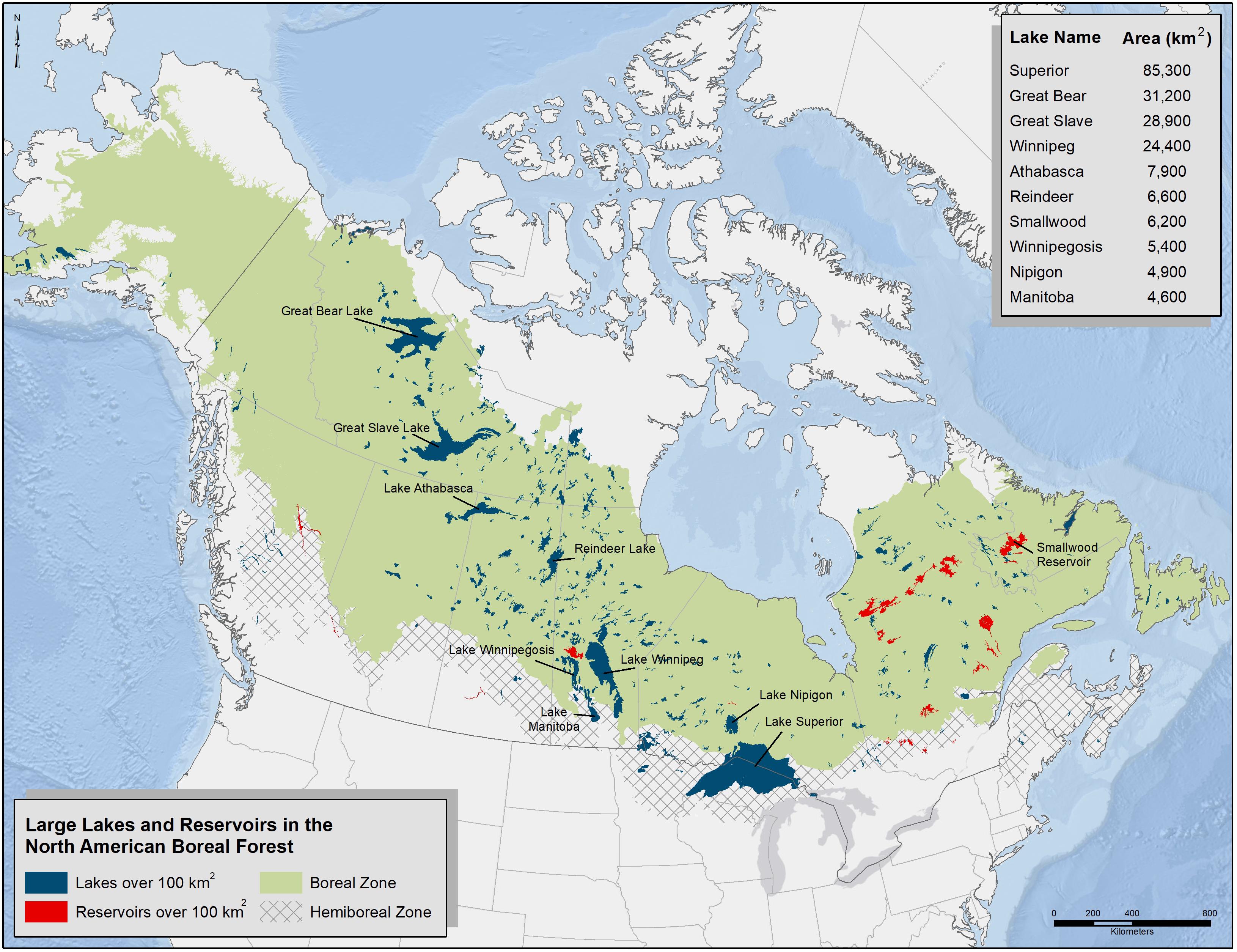 Taiga Biome, Boreal Snow Forest. Terrestrial Ecosystem World Map