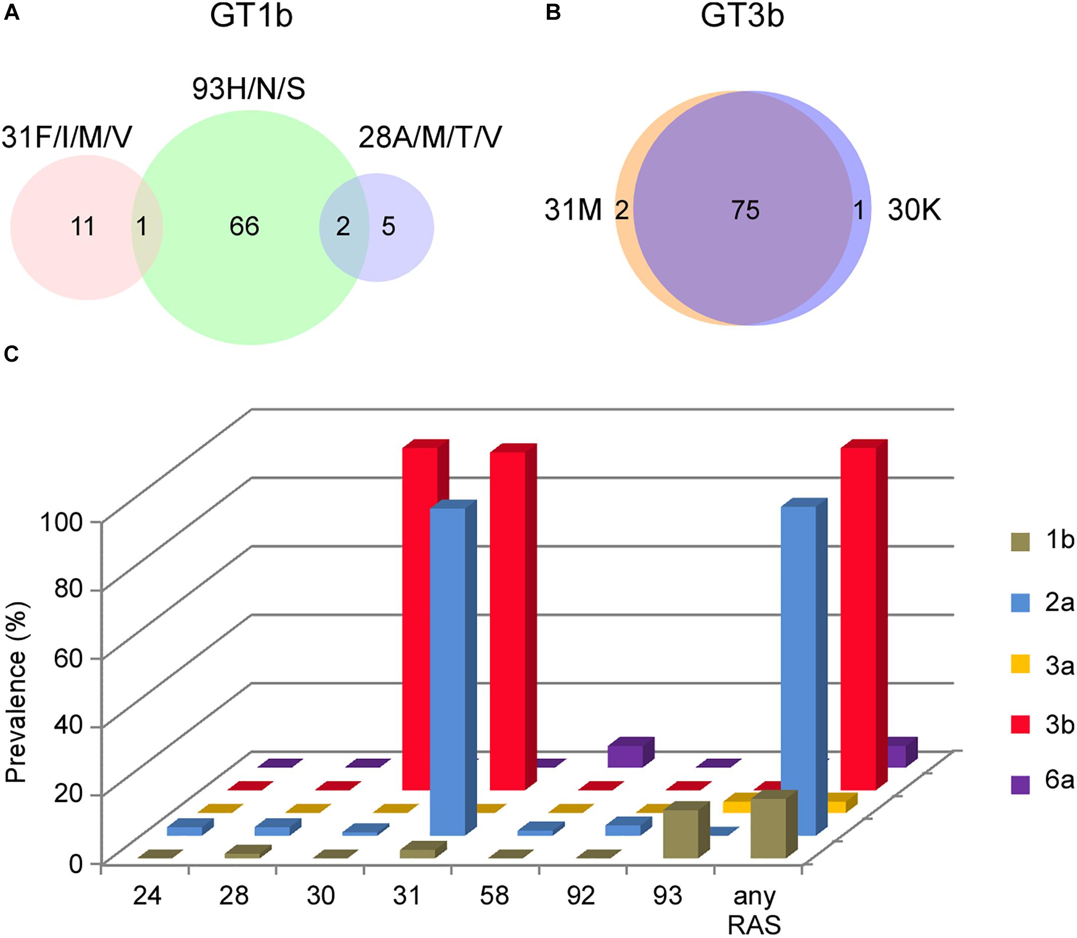 Frontiers Subtype Specific Prevalence Of Hepatitis C Virus Ns5a