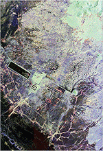 www.frontiersin.org