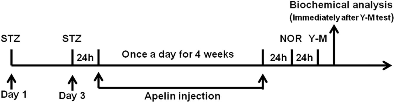 www.frontiersin.org