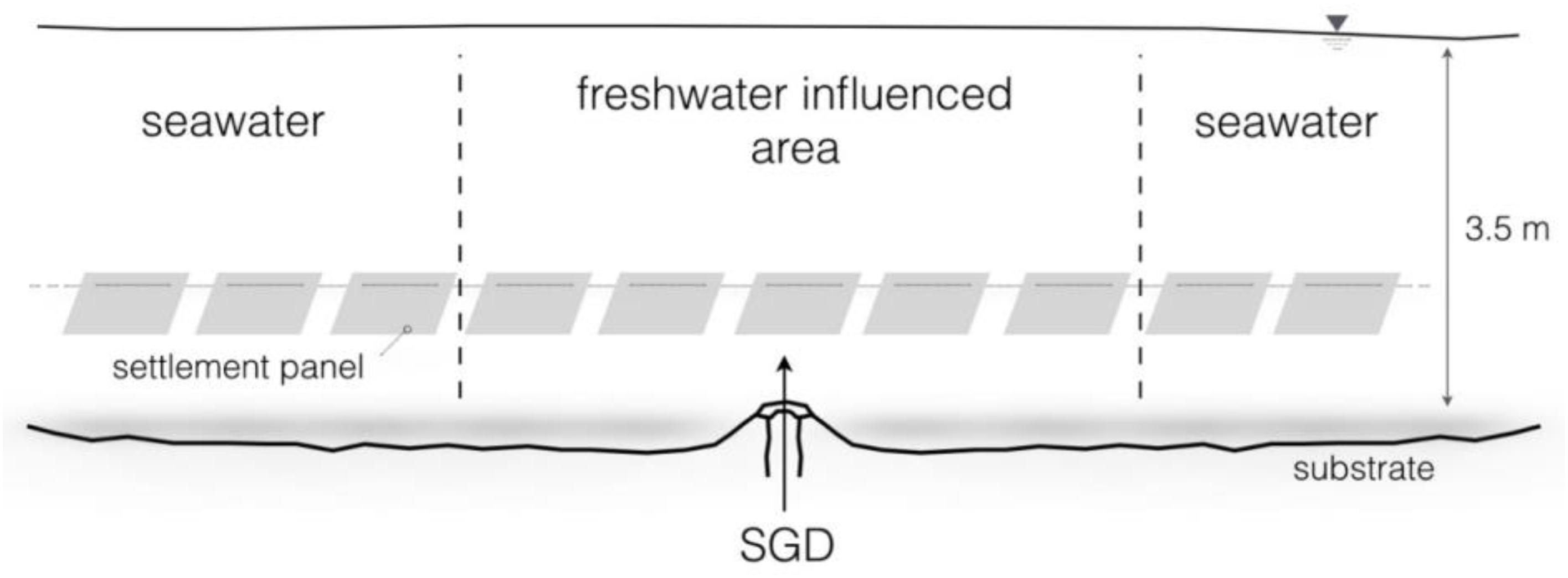 www.frontiersin.org
