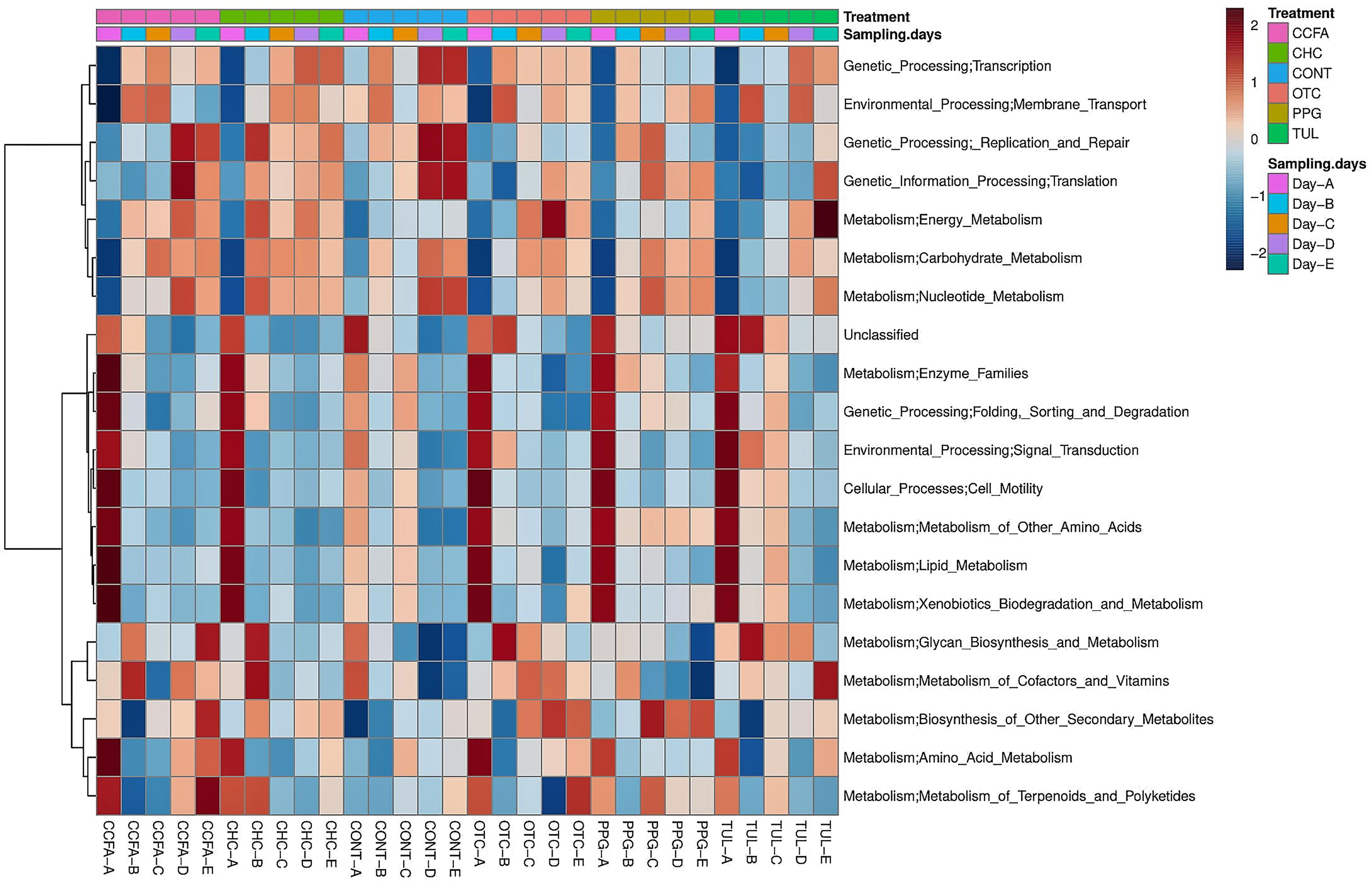 Antibiotic Chart Sanford