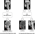 Frontiers | Clinical Evaluation of Commercial Atlas-Based Auto ...