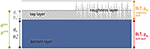 www.frontiersin.org