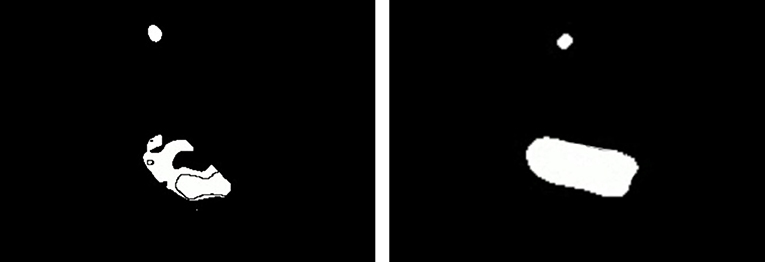 www.frontiersin.org