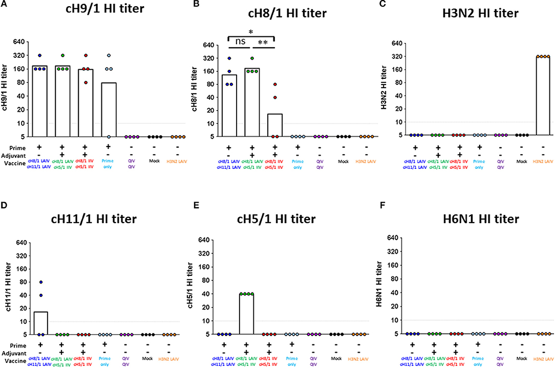 usund deadline igennem Frontiers | Sequential Immunization With Live-Attenuated Chimeric  Hemagglutinin-Based Vaccines Confers Heterosubtypic Immunity Against  Influenza A Viruses in a Preclinical Ferret Model | Immunology