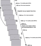 www.frontiersin.org